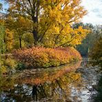 Herbst im Tiergarten (01)