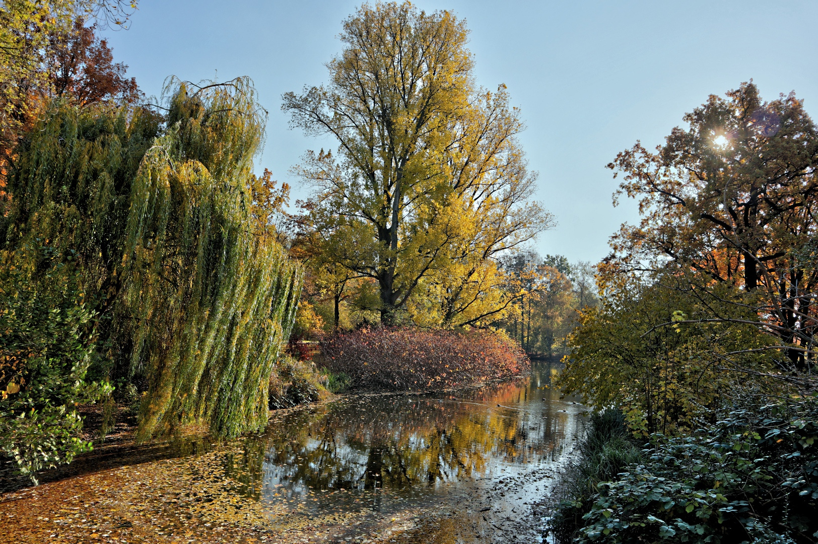 Herbst im Tiergarten (01)