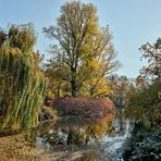 Herbst im Tiergarten (01)