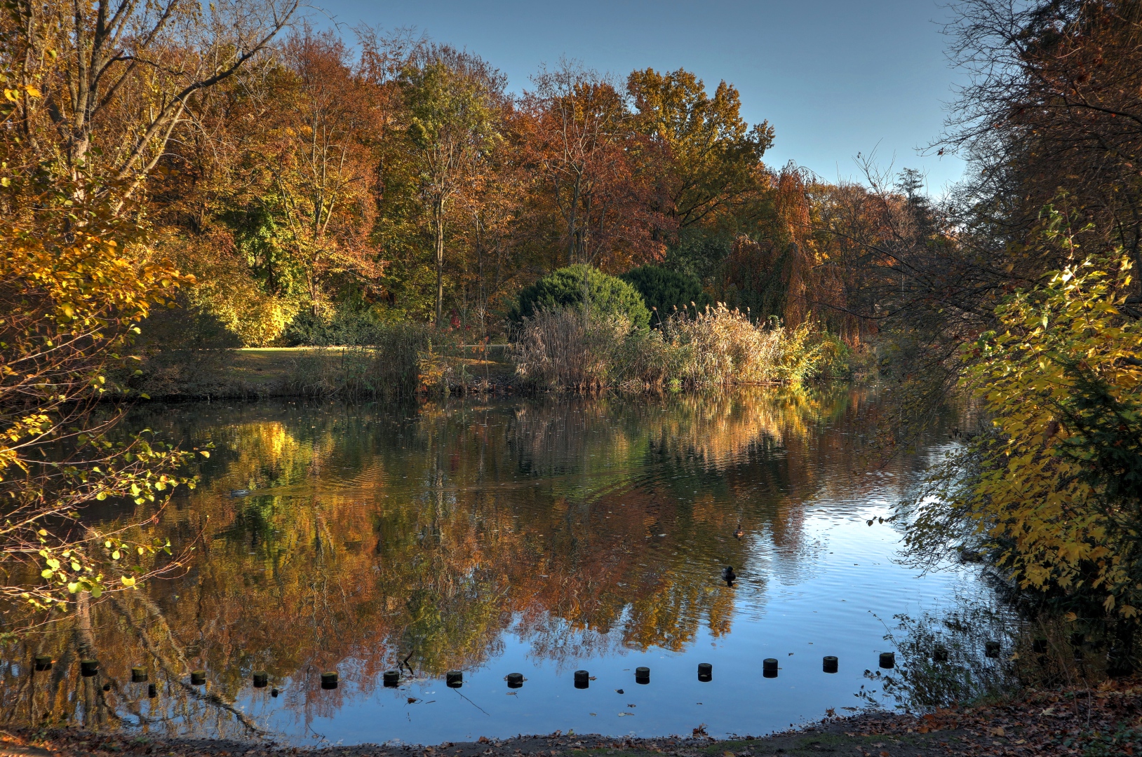 Herbst im Tiergarten (02)