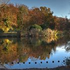 Herbst im Tiergarten (02)