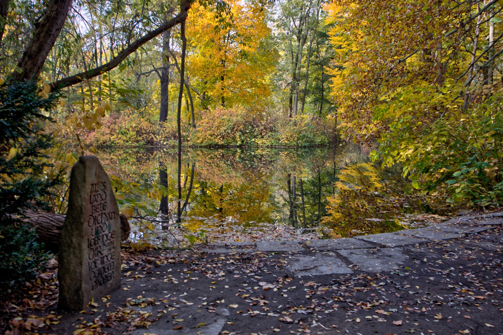 Herbst im Tiergarten (02)