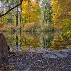 Herbst im Tiergarten (02)