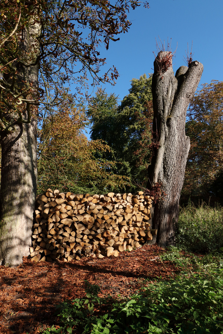 Herbst im Tiergarten #1