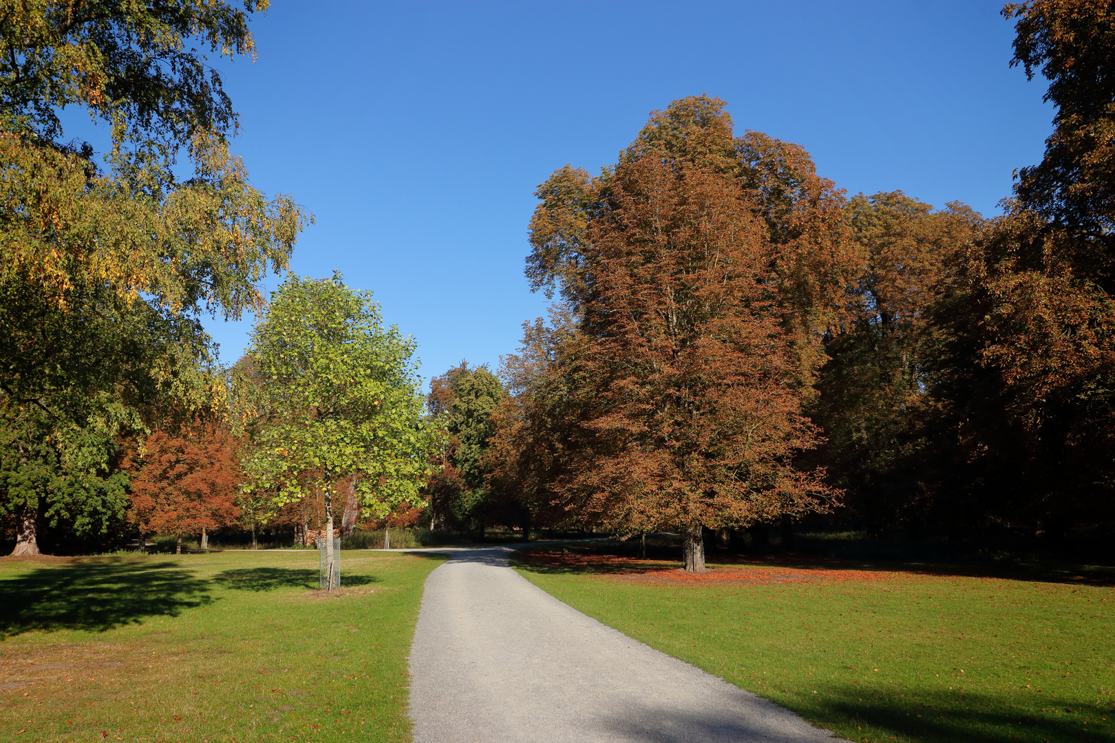 Herbst im Tiergarten #2