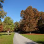 Herbst im Tiergarten #2