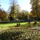 Herbst im Tiergarten