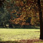 Herbst im Tiergarten #4