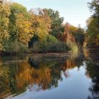 Herbst Im Tiergarten 