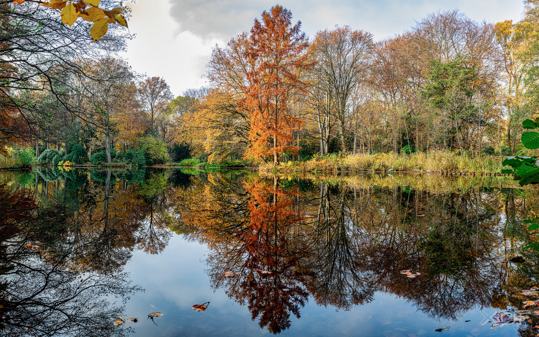 Herbst im Tiergarten Berlin