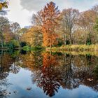 Herbst im Tiergarten Berlin