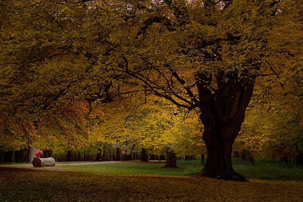 Herbst im Tiergarten Hannover