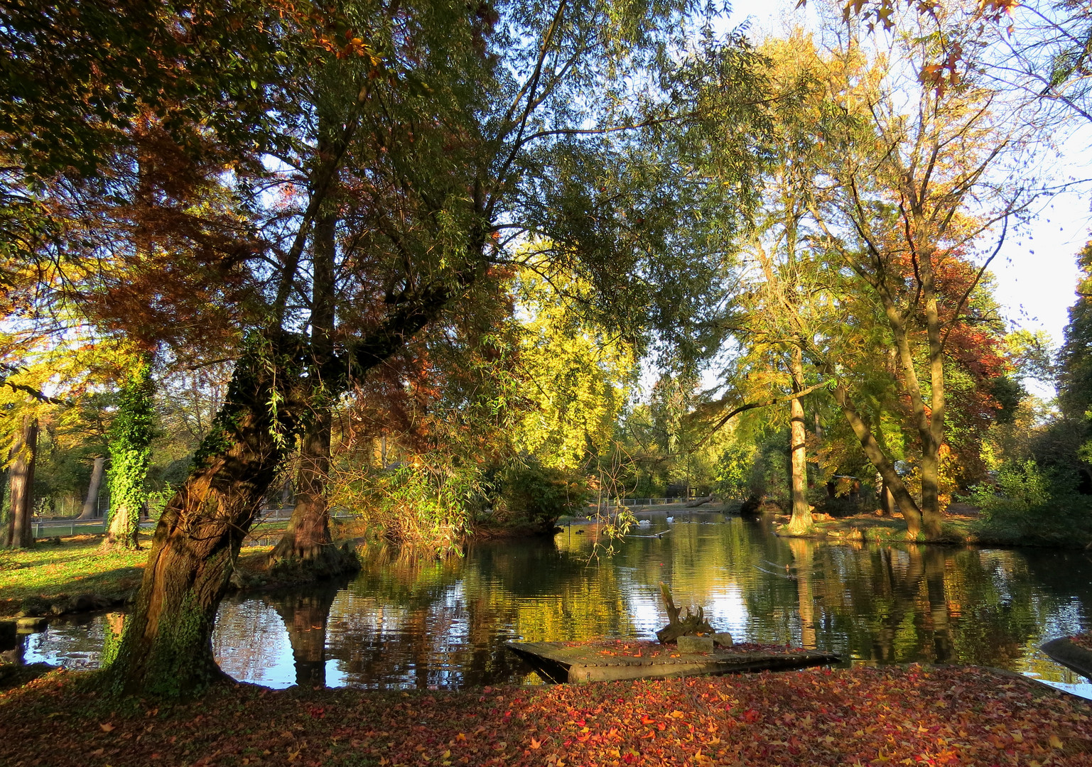 Herbst im Tierpark