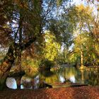 Herbst im Tierpark