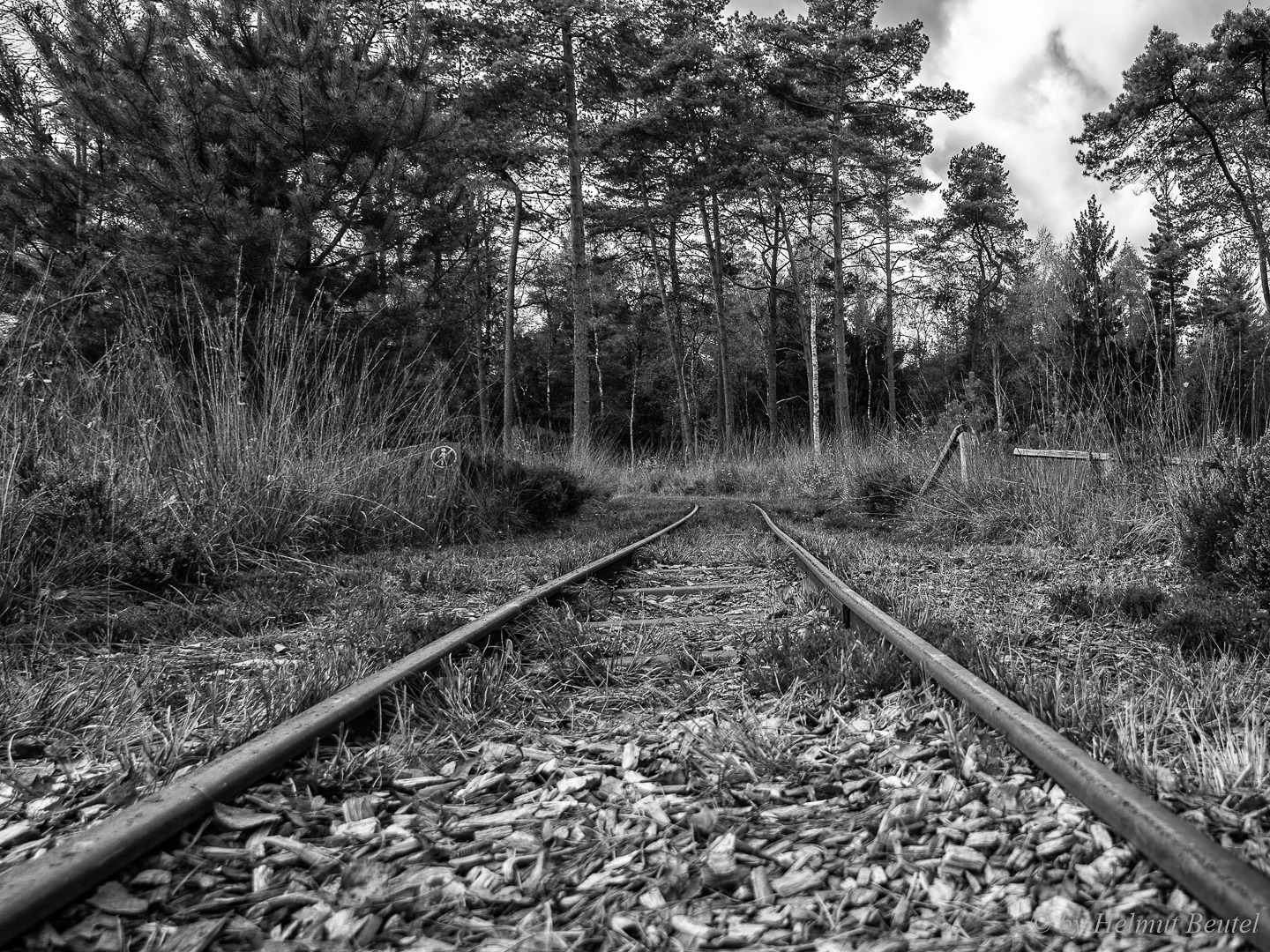 Herbst im Tister Bauernmoor