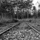 Herbst im Tister Bauernmoor