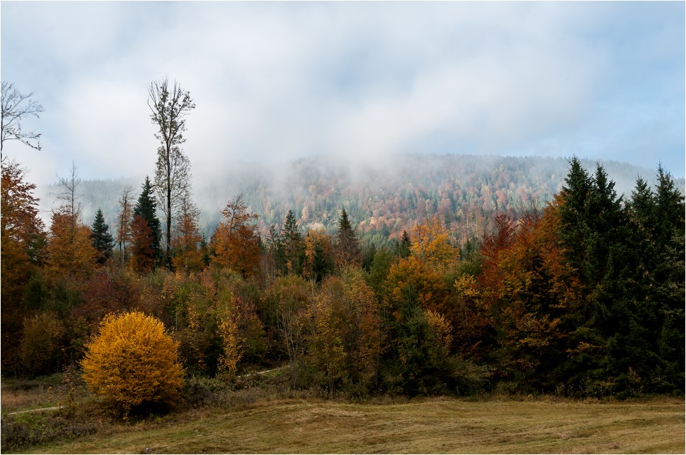 Herbst im Tölzer Land