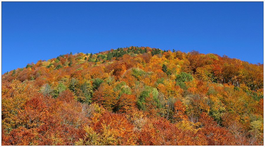 Herbst im Toggenburg