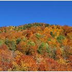 Herbst im Toggenburg