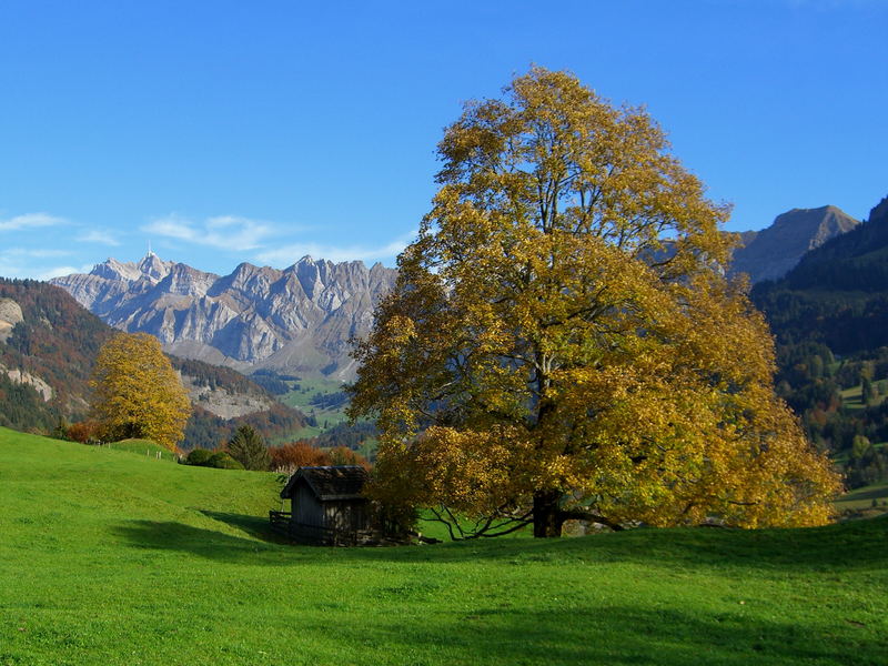 Herbst im Toggenburg