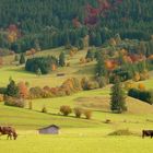 Herbst im Trauchgau