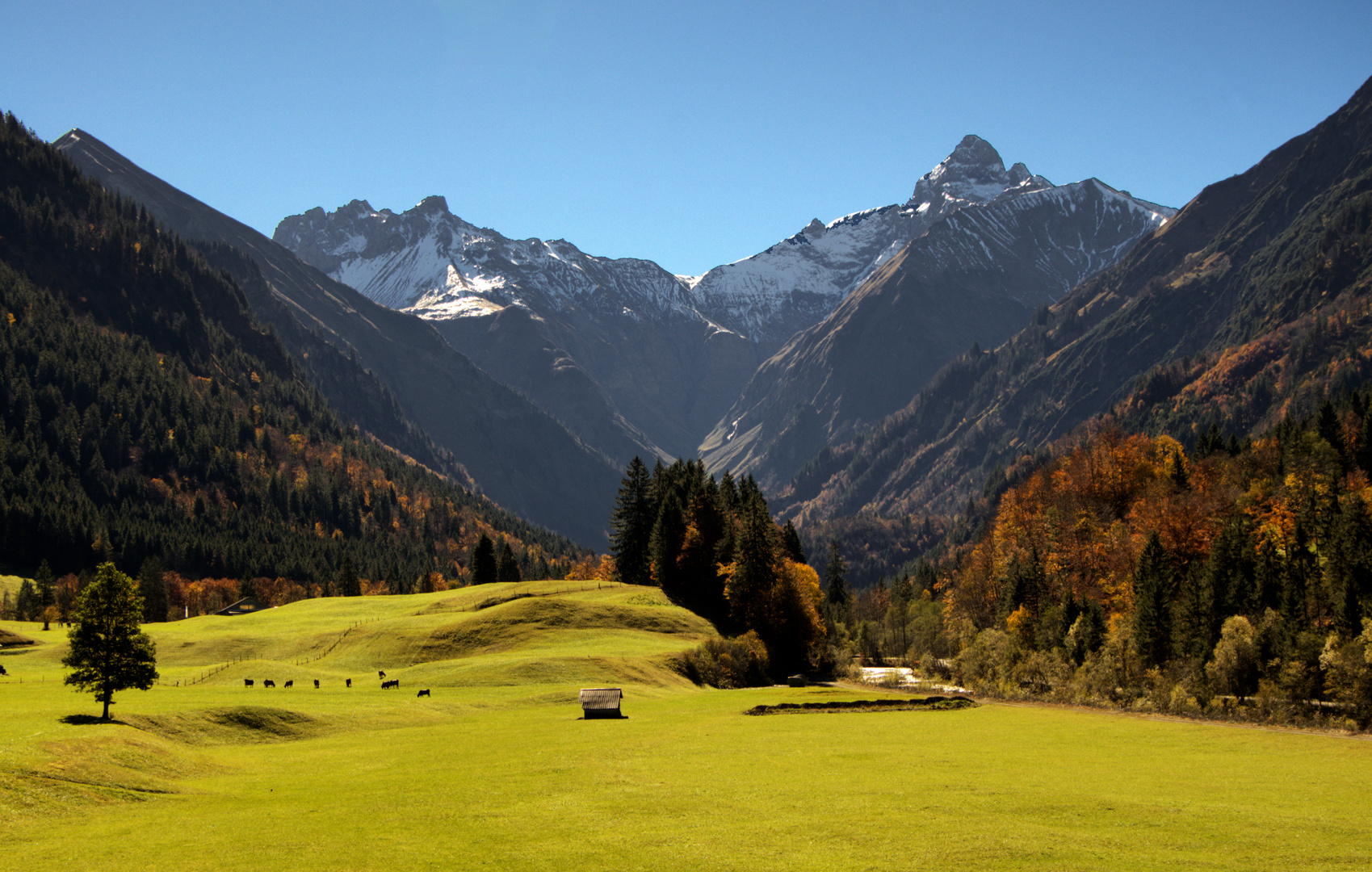 Herbst im Trettachtal 