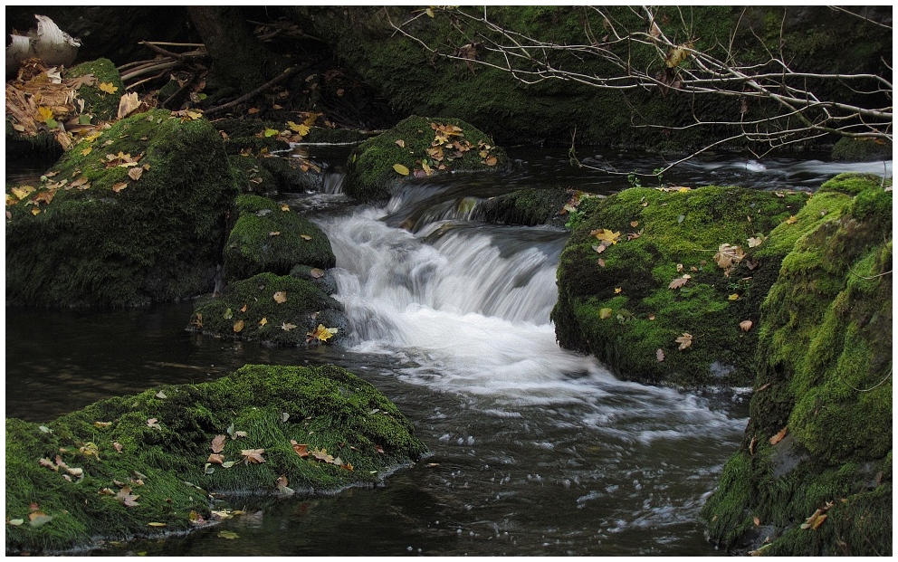 Herbst im Triebtal 2