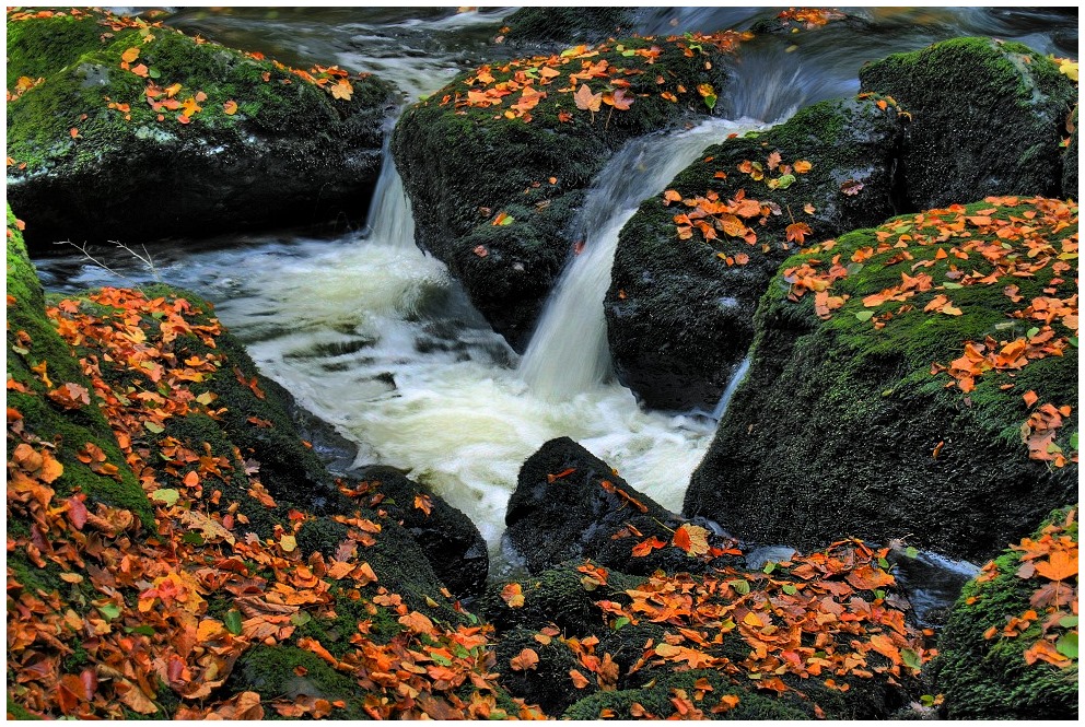 Herbst im Triebtal (2)