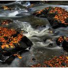 Herbst im Triebtal