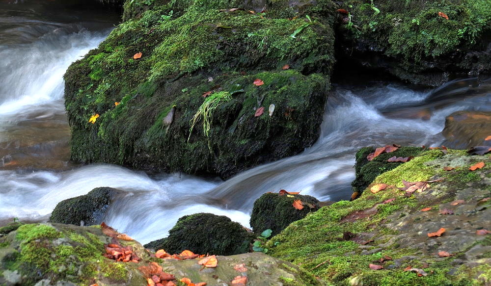 Herbst im Triebtal