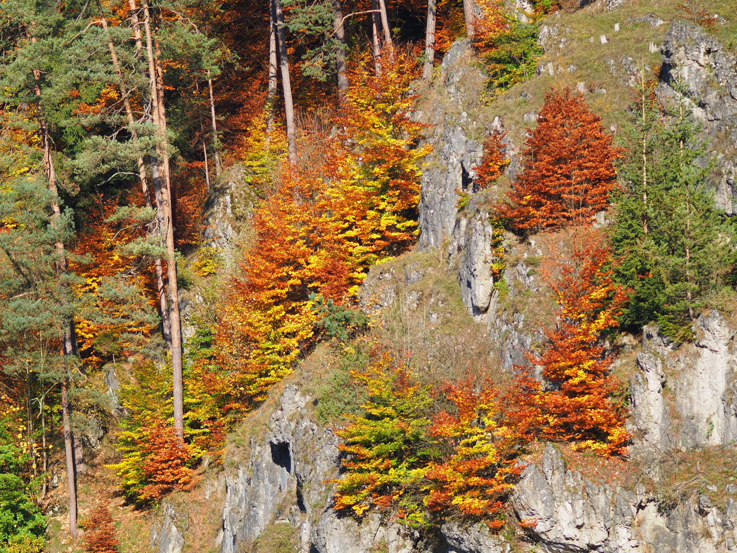 Herbst im Trubachtal