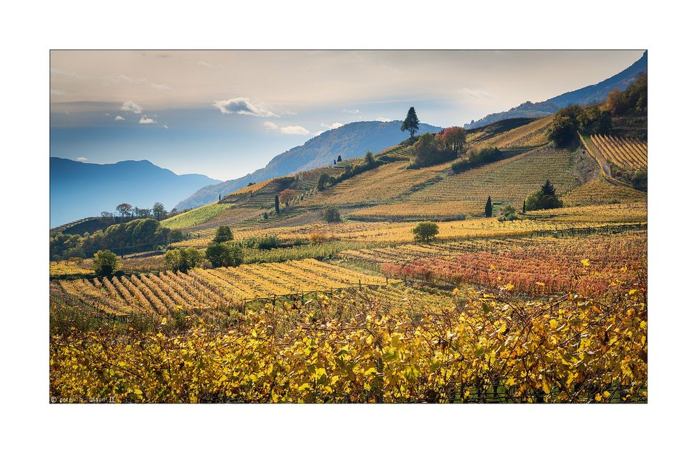 Herbst im Überetsch