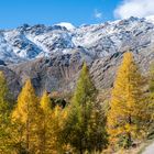 Herbst im Ultental