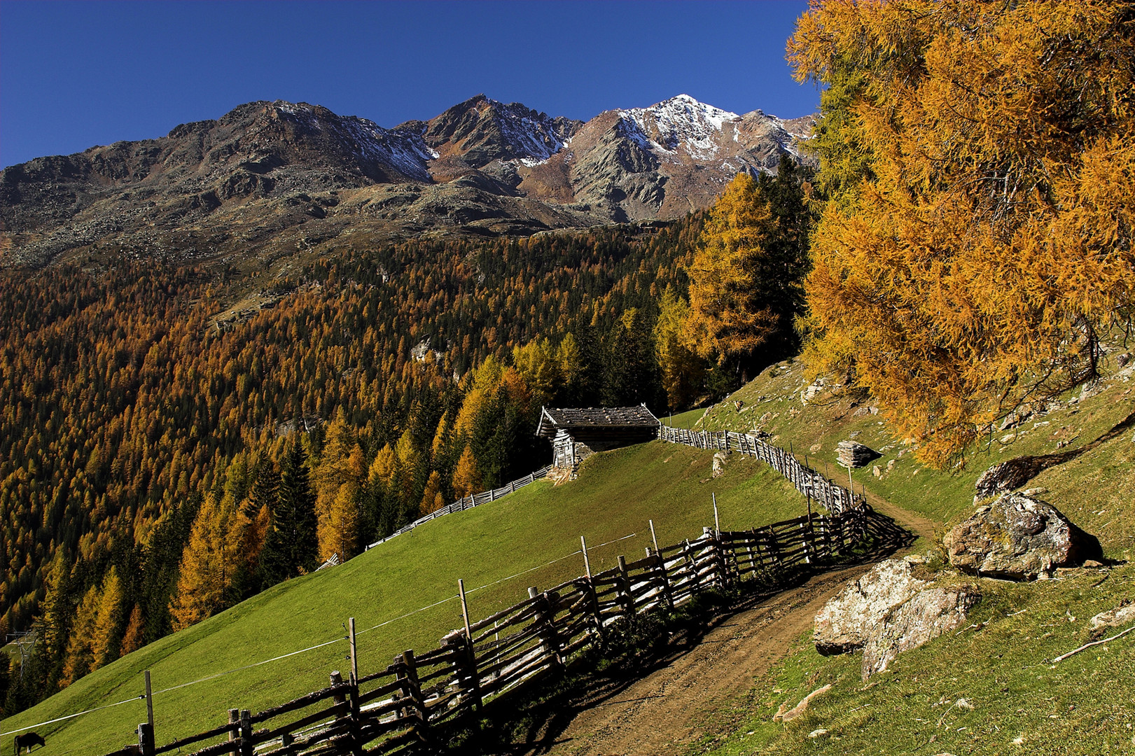 Herbst im Ultental - Südtirol