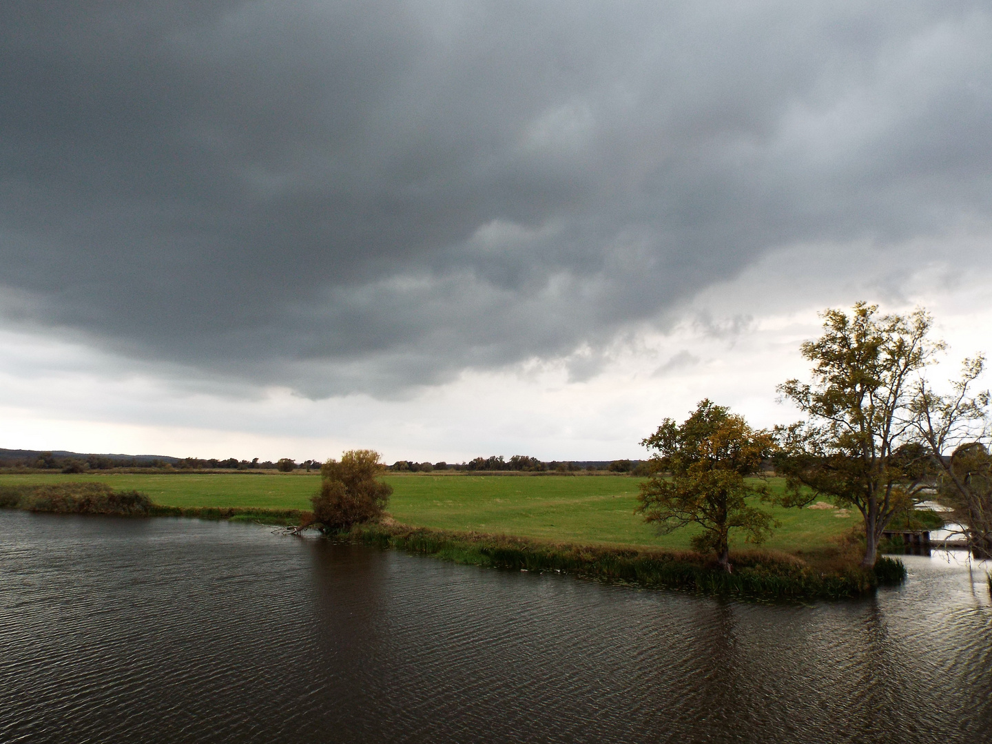 Herbst im Unteren Odertal