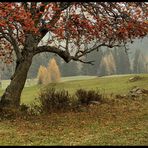 Herbst im Unterengadin