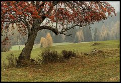 Herbst im Unterengadin