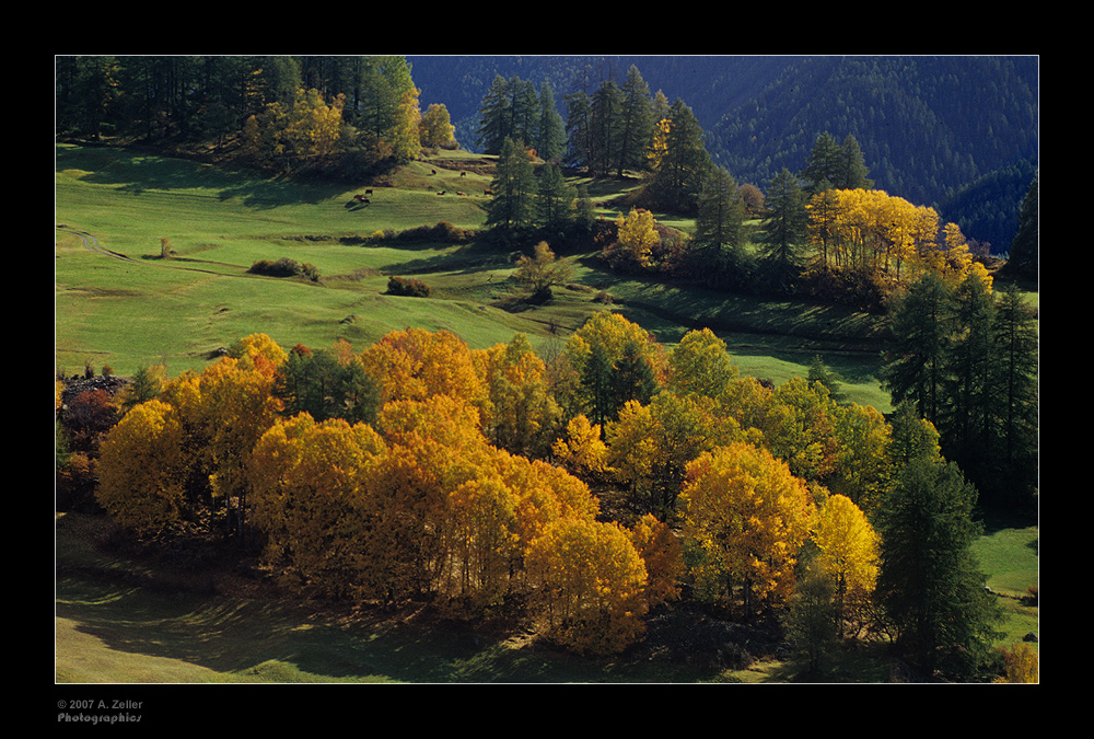 Herbst im Unterengadin