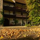 Herbst im Unterschwandorfer Schloßhof 