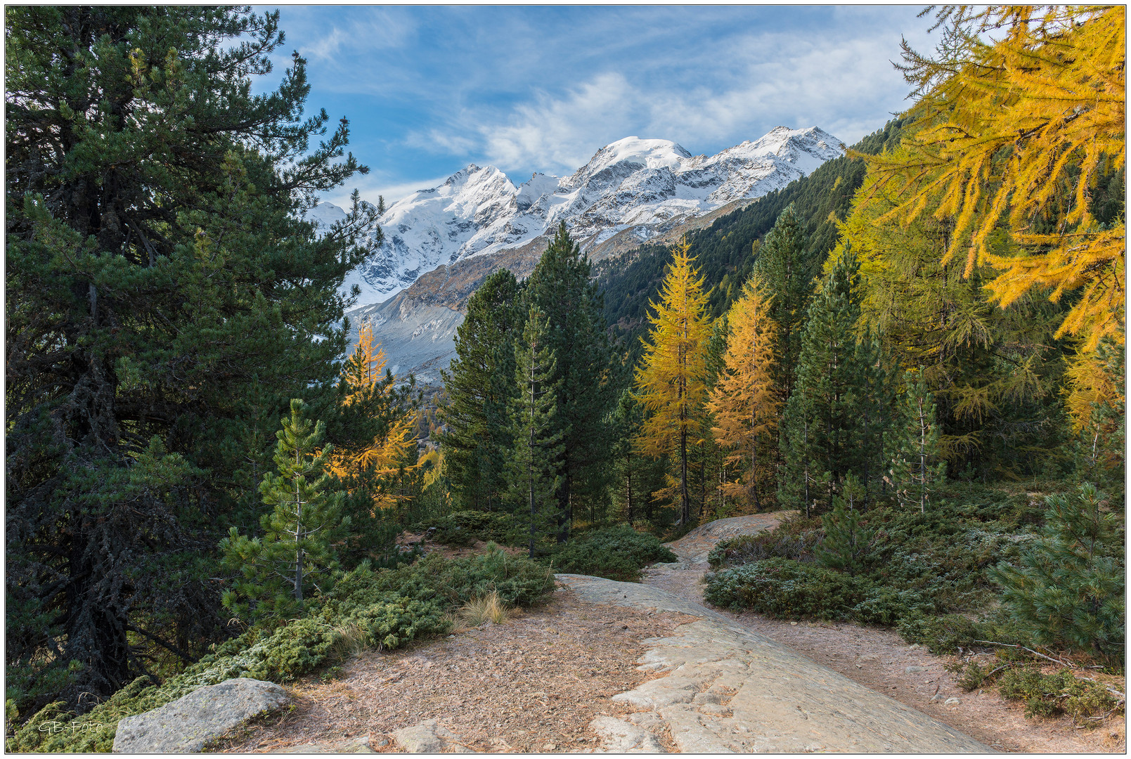 Herbst im Vadret da Morteratsch