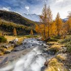 Herbst im Val da Camp