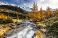 Herbst im Val da Camp