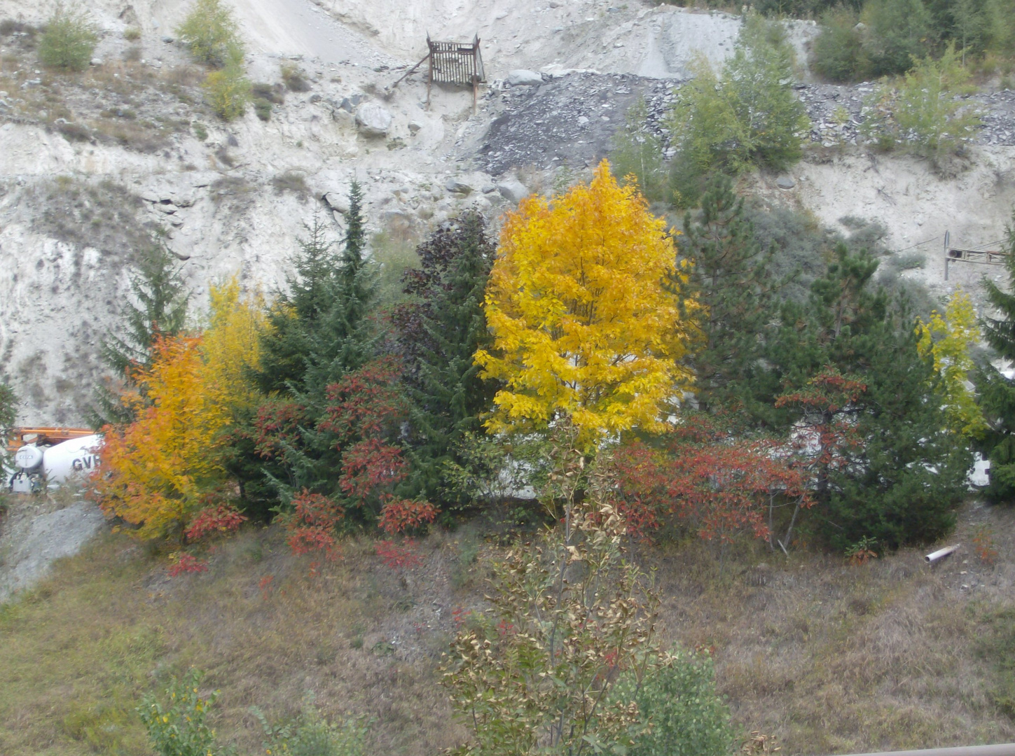 Herbst im Val d'Hérence, Wallis, Schweiz