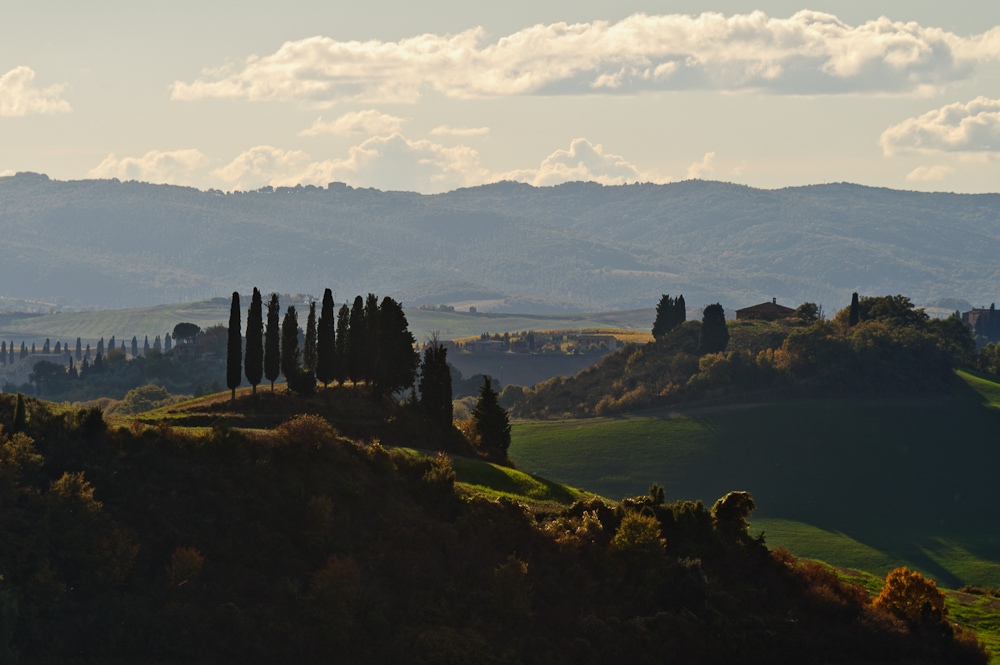 Herbst im Val d'Orcia