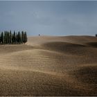 Herbst im Val d'Orcia 