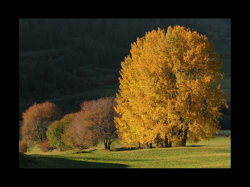 Herbst im Val Mustair
