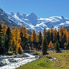 Herbst im Val Roseg