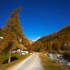 Herbst im val S-charl