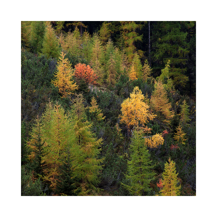 Herbst im Val Trupchun