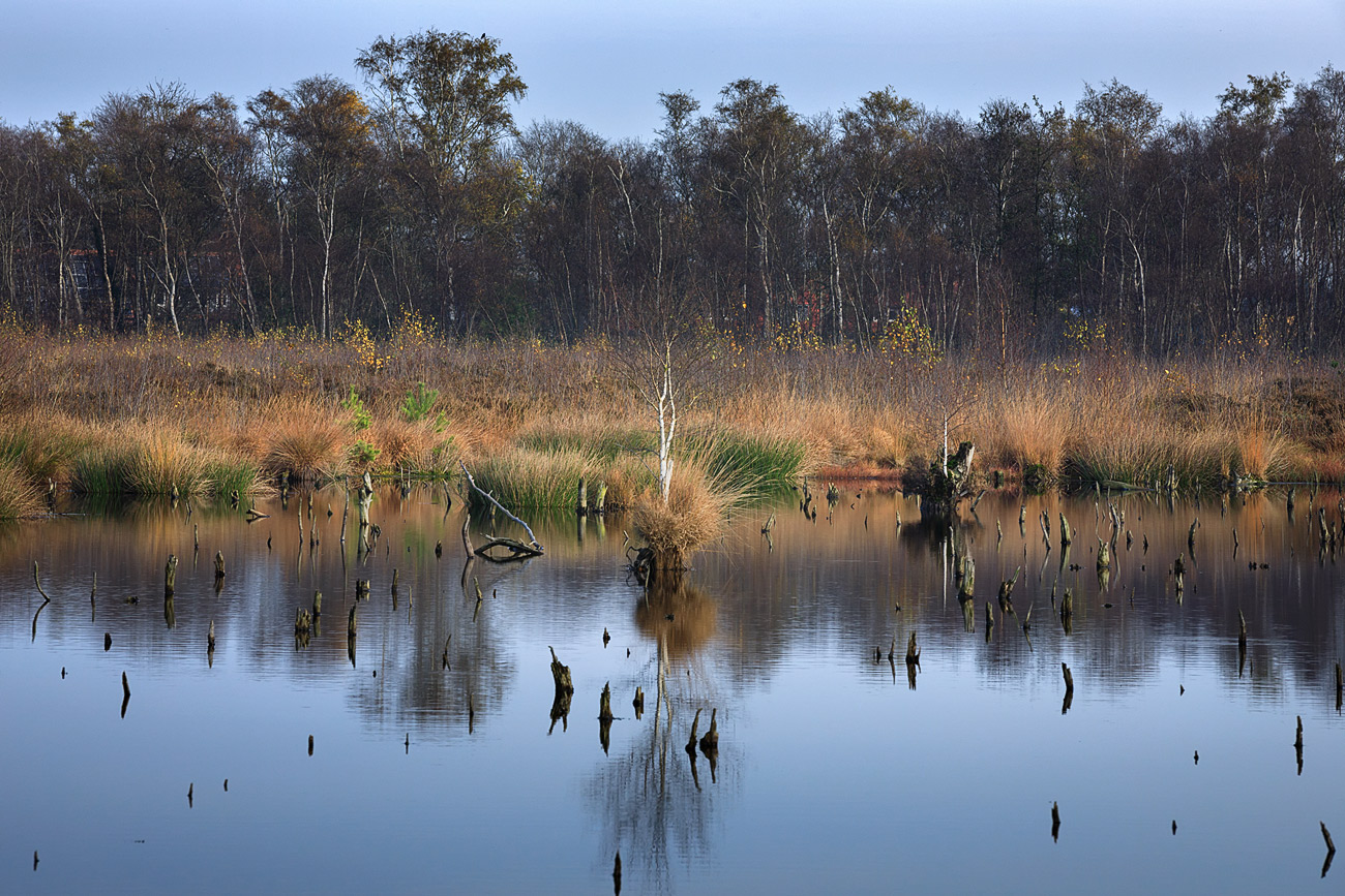 Herbst im Venner Moor